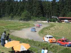 Zufallsbild